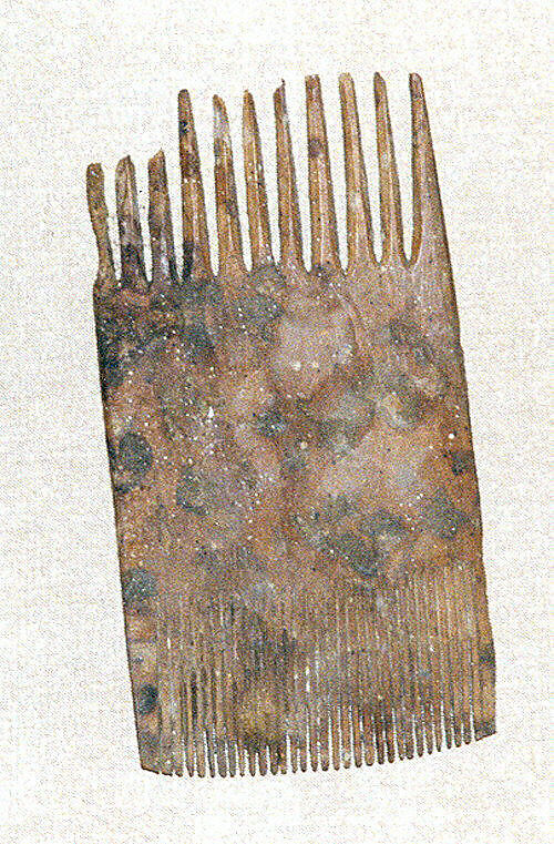 Double-sided wooden comb, Wood, Alanic
