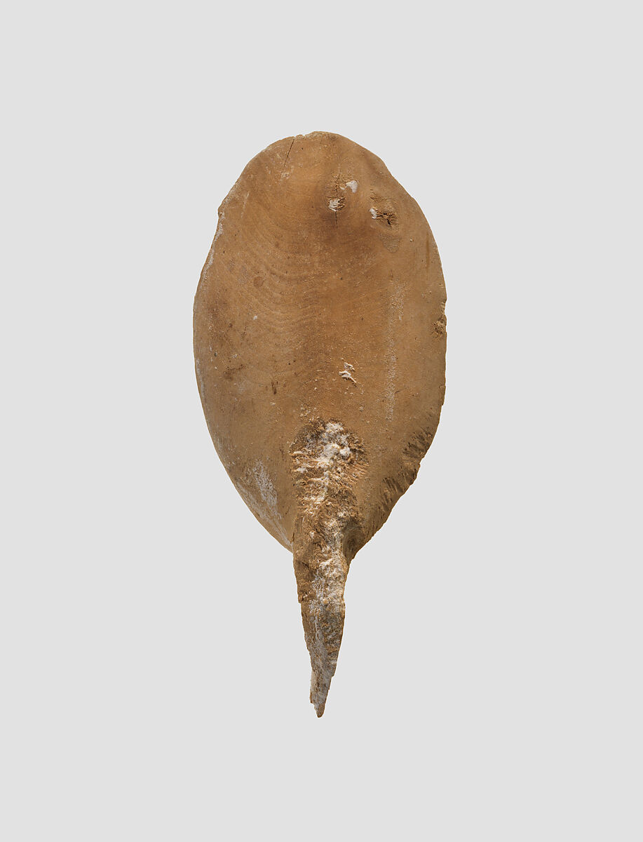 Wooden spoon, Wood, Alanic