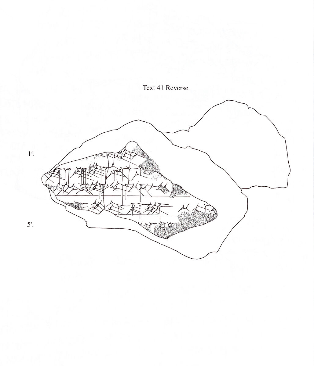 Cuneiform tablet: Shumma izbu, tablet 5, Clay, Seleucid