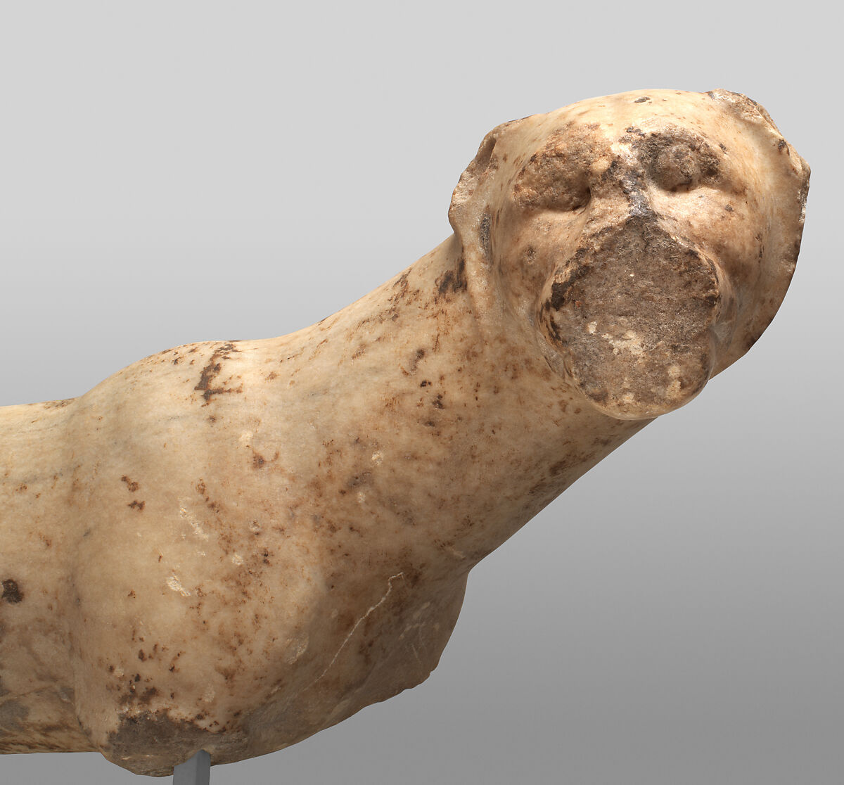 Marble statue of a panther, Marble, Greek