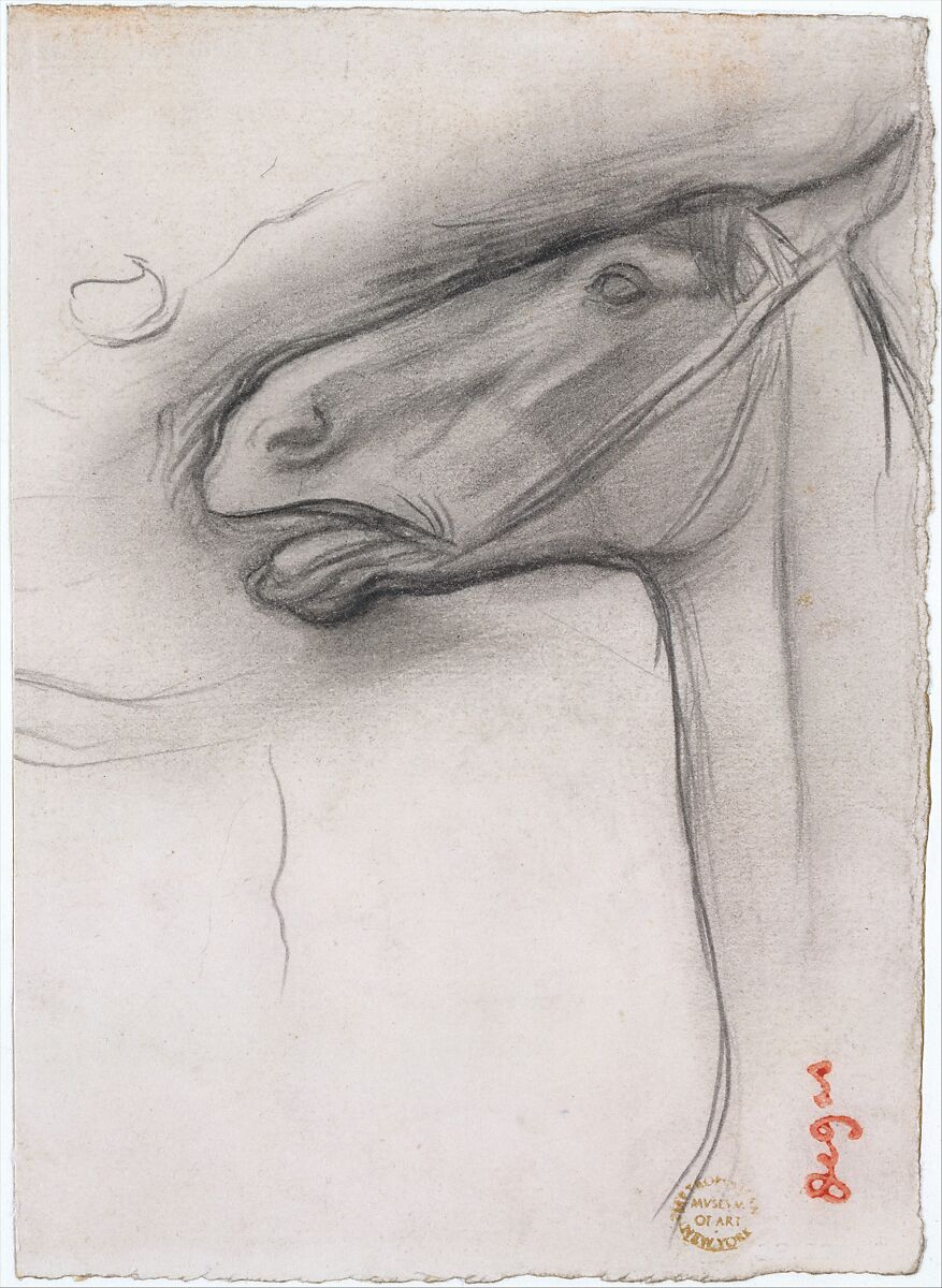 Head of a Horse, Edgar Degas (French, Paris 1834–1917 Paris), Graphite on wove paper