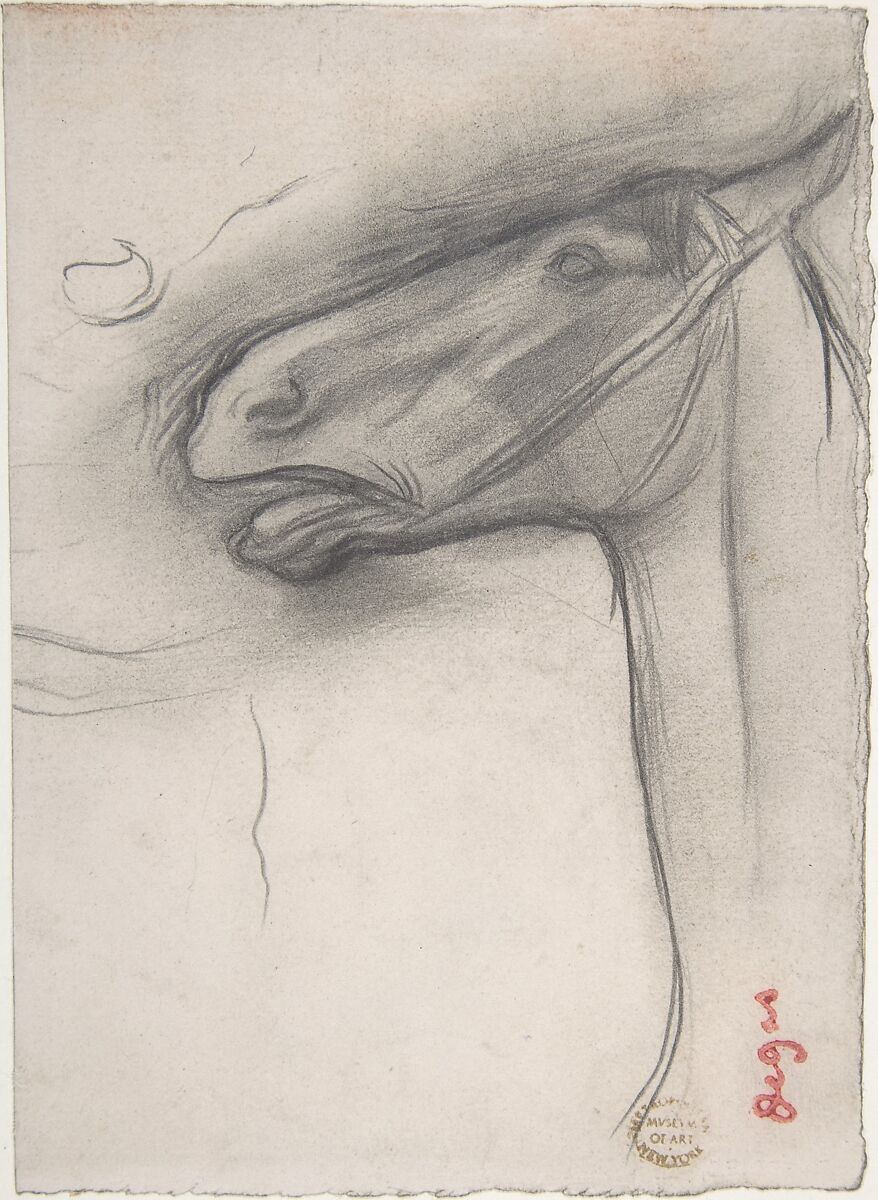 Head of a Horse, Edgar Degas (French, Paris 1834–1917 Paris), Graphite on wove paper 