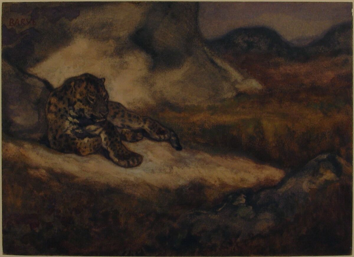 Leopard Lying Down, Antoine-Louis Barye (French, Paris 1795–1875 Paris), Watercolor on wove paper