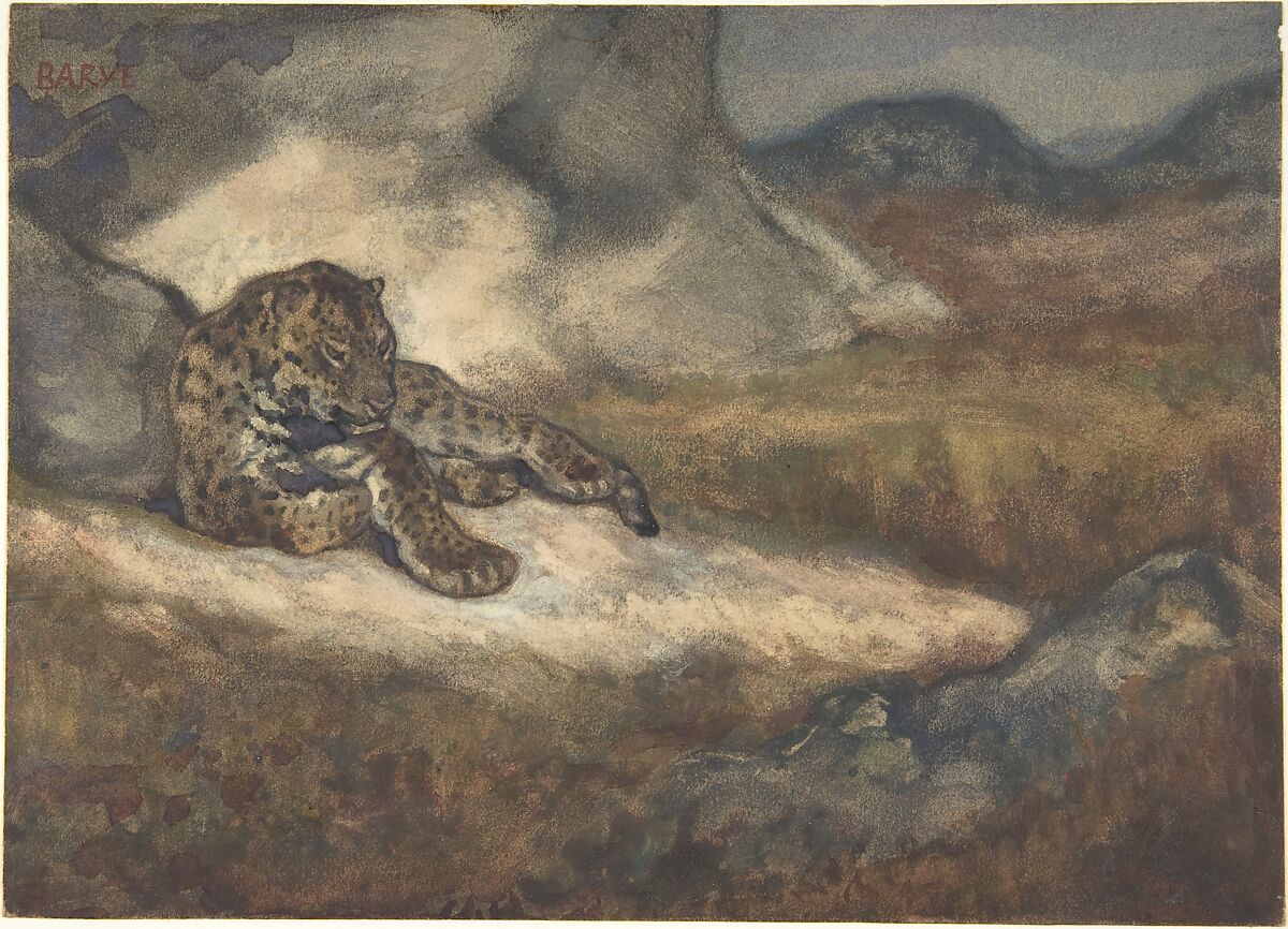 Leopard Lying Down, Antoine-Louis Barye (French, Paris 1795–1875 Paris), Watercolor on wove paper 