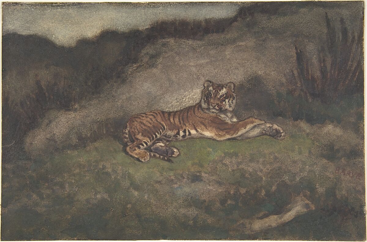 Tiger, Antoine-Louis Barye (French, Paris 1795–1875 Paris), Watercolor on heavy wove paper 