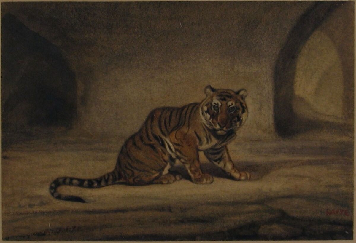 Tiger, Antoine-Louis Barye (French, Paris 1795–1875 Paris), Watercolor