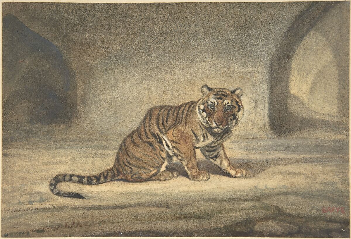 Tiger, Antoine-Louis Barye (French, Paris 1795–1875 Paris), Watercolor 