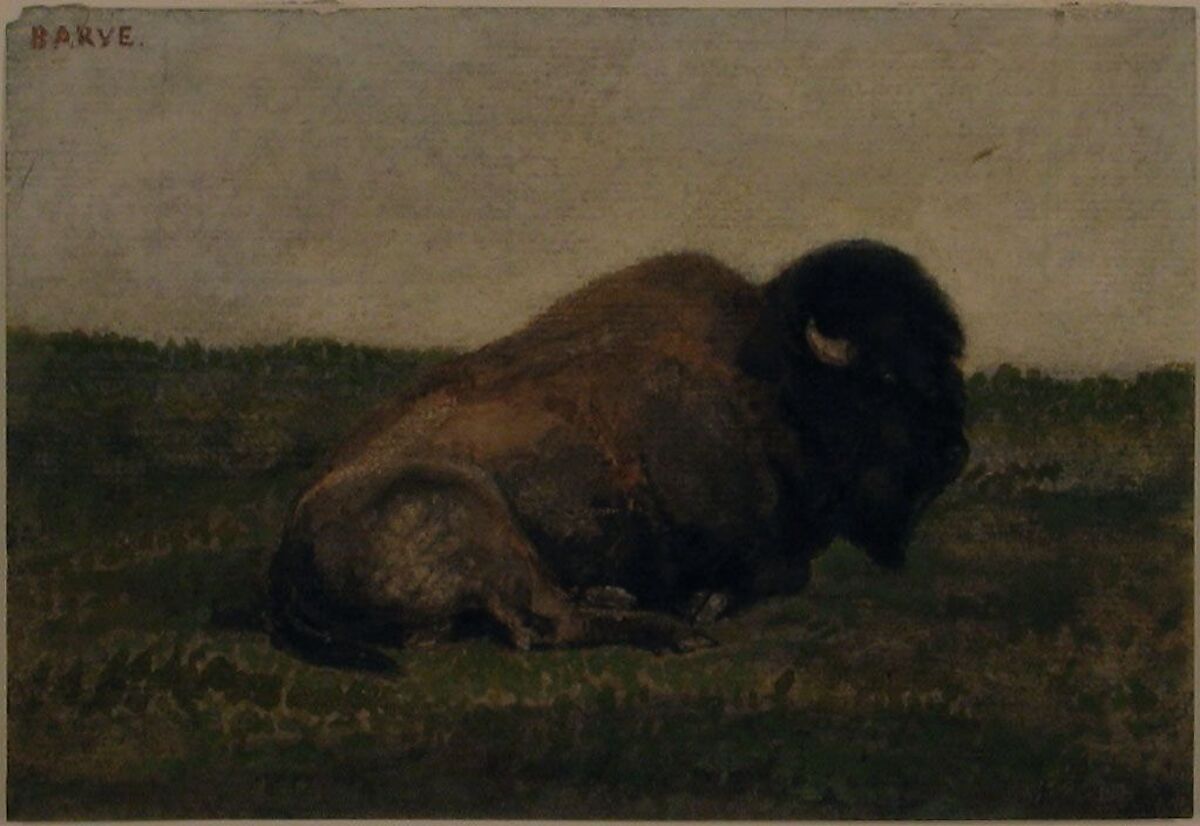 Bison Lying Down, Antoine-Louis Barye (French, Paris 1795–1875 Paris), Watercolor on laid paper