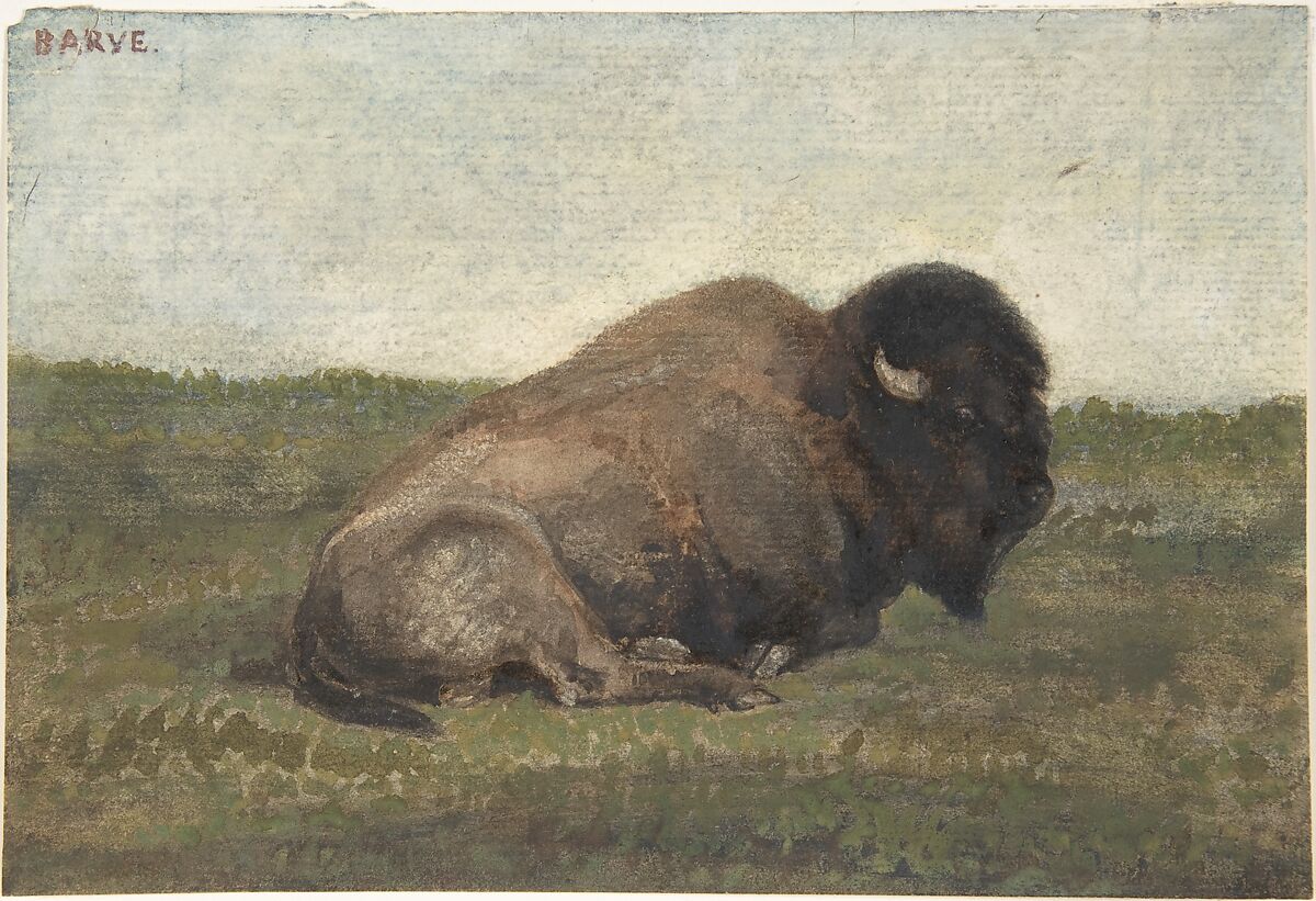 Bison Lying Down, Antoine-Louis Barye (French, Paris 1795–1875 Paris), Watercolor on laid paper 
