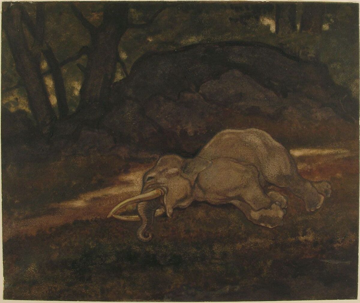 Sleeping Elephant, Antoine-Louis Barye (French, Paris 1795–1875 Paris), Watercolor on wove paper