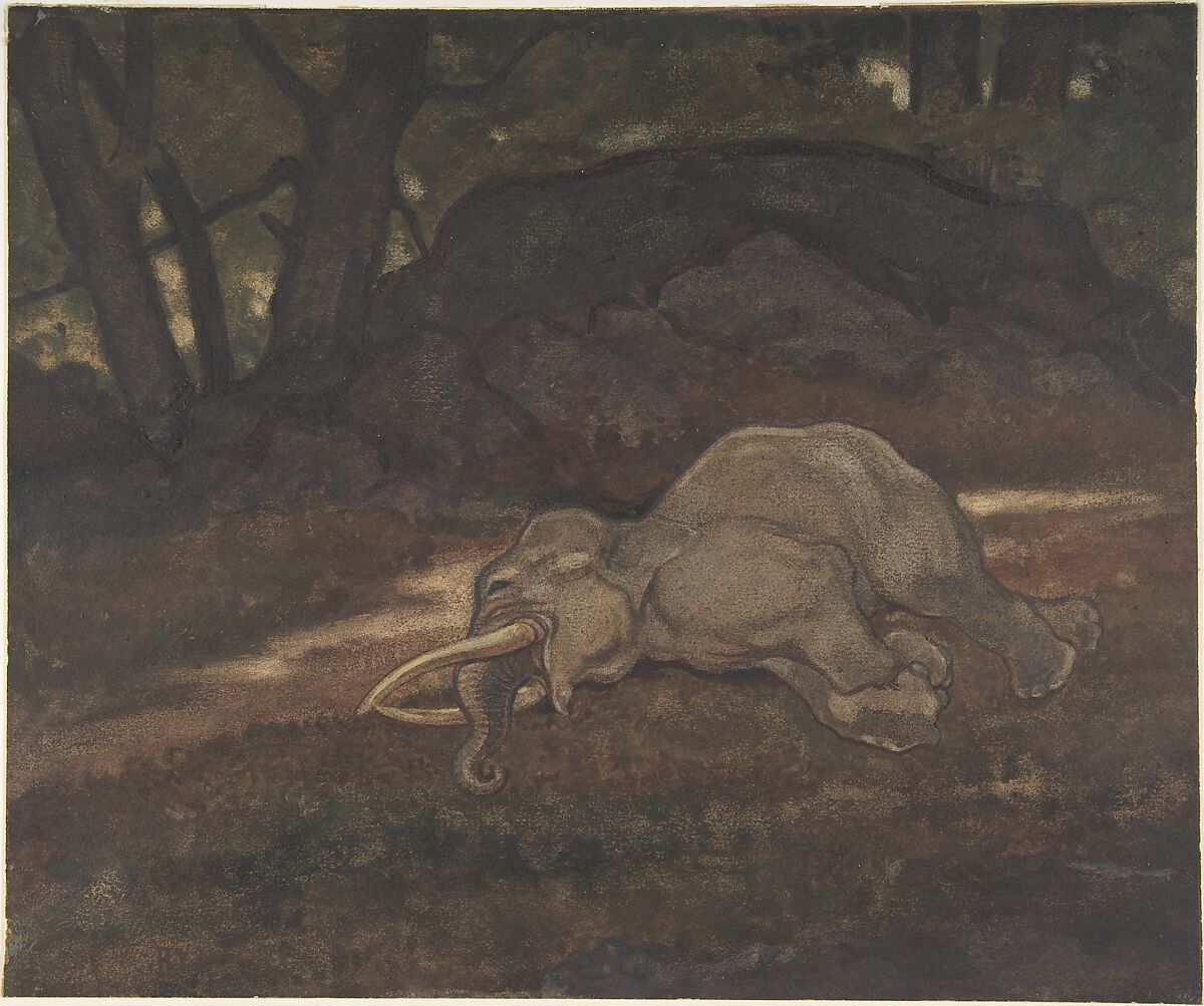 Sleeping Elephant, Antoine-Louis Barye (French, Paris 1795–1875 Paris), Watercolor on wove paper 