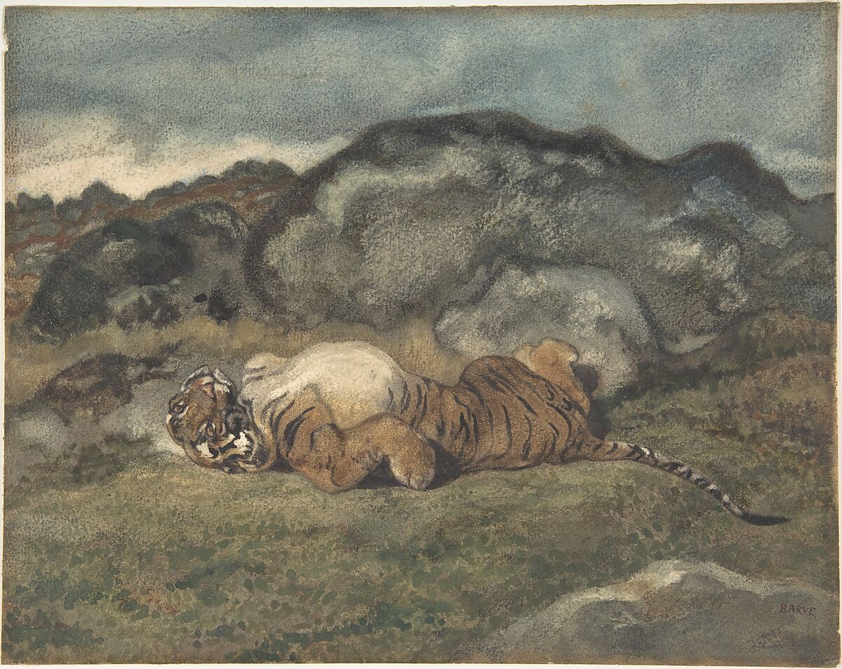 Tiger Rolling on Its Back, Antoine-Louis Barye (French, Paris 1795–1875 Paris), Watercolor on heavy wove paper 