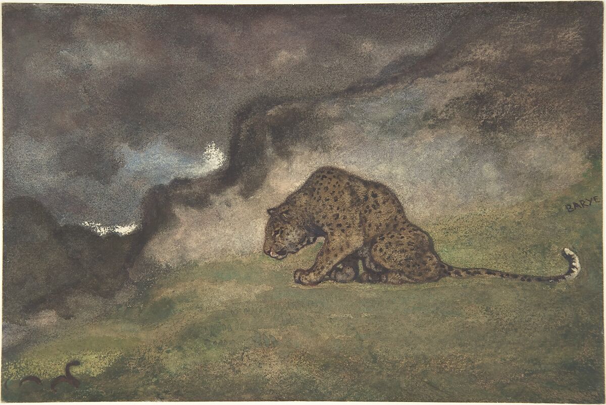 Leopard Watching Serpent, Antoine-Louis Barye  French, Watercolor on wove paper