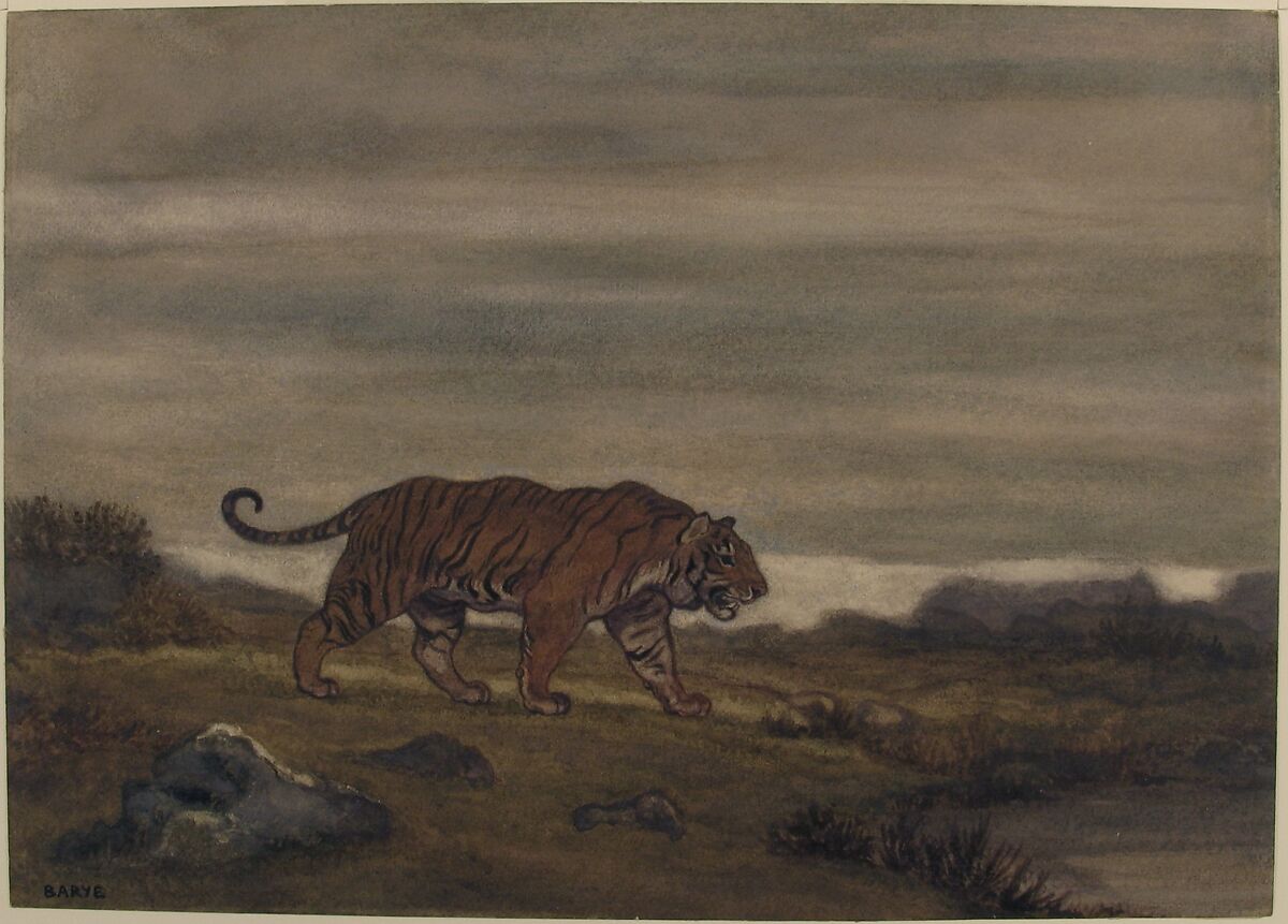 Tiger Approaching Pool, Antoine-Louis Barye (French, Paris 1795–1875 Paris), Watercolor on wove paper