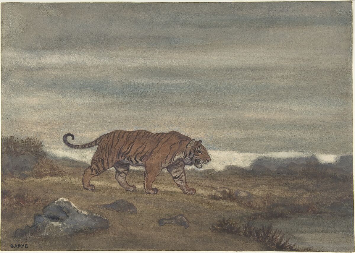 Tiger Approaching Pool, Antoine-Louis Barye (French, Paris 1795–1875 Paris), Watercolor on wove paper 