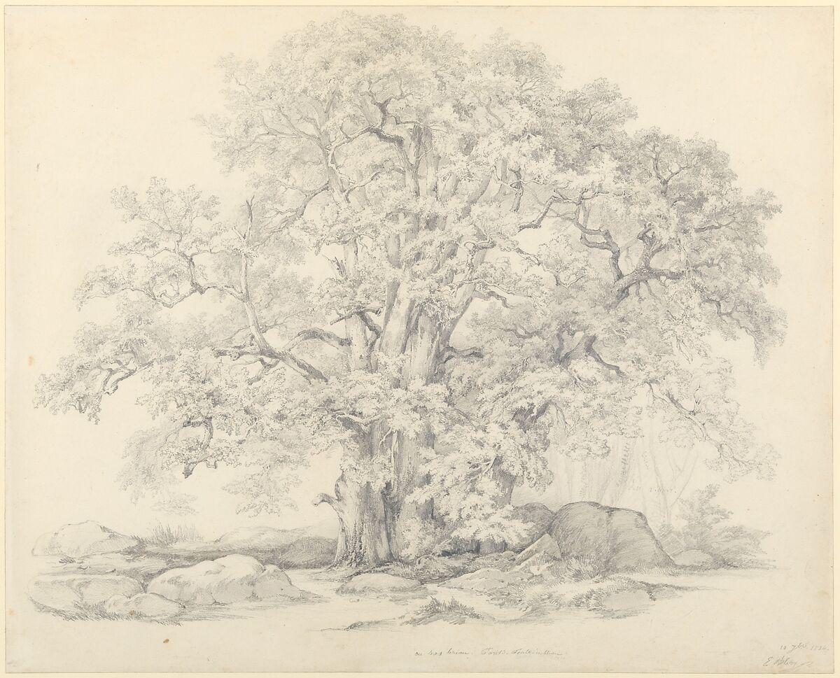Tree and Rocks in the Forest of Fontainebleau, Eugène Stanislas Alexandre Bléry (French, Fontainebleau 1805–1887 Paris), Graphite 