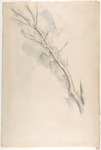 Studies of a tree (recto and verso)