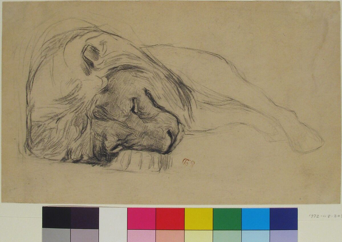 The Head of a Recumbent Lion, Attributed to Pierre Andrieu (French, 1821–1892), Black chalk on wove paper
