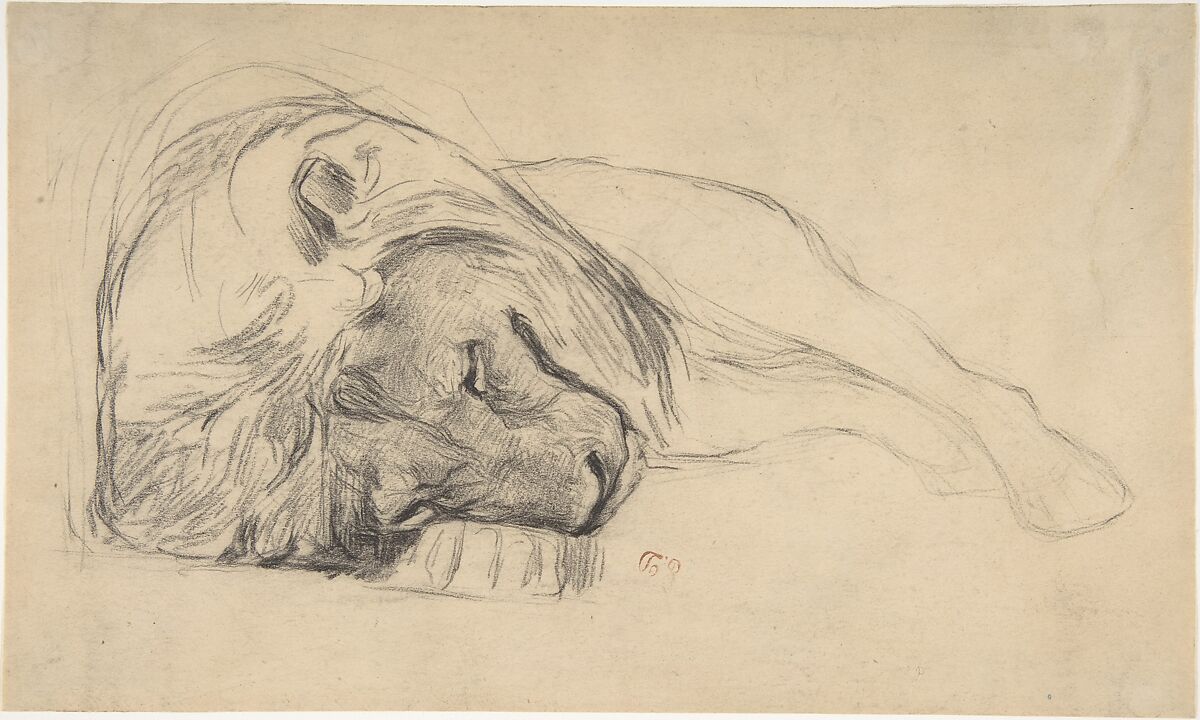 The Head of a Recumbent Lion, Attributed to Pierre Andrieu (French, 1821–1892), Black chalk on wove paper 