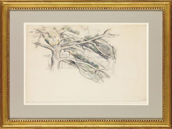 Large Pine, Study, Paul Cézanne (French, Aix-en-Provence 1839–1906 Aix-en-Provence), Graphite and watercolor