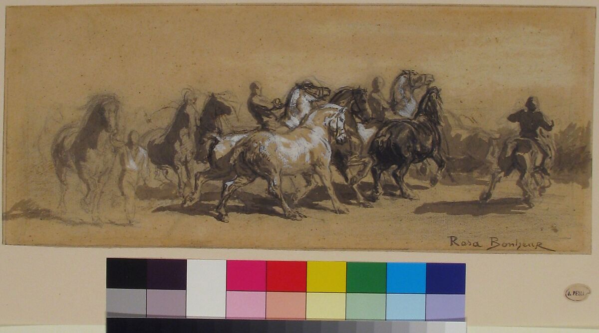 Study for "The Horse Fair", Rosa Bonheur (French, Bordeaux 1822–1899 Thomery), Black chalk, brush and gray wash, heightened with white