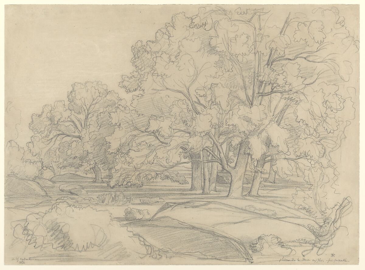 Plateau de la Mare aux Fées. Forest of Fontainebleau, Théodore Caruelle d&#39;Aligny (French, Chaumes, Nièvre 1798–1871 Lyon), Graphite on pale gray wove paper 