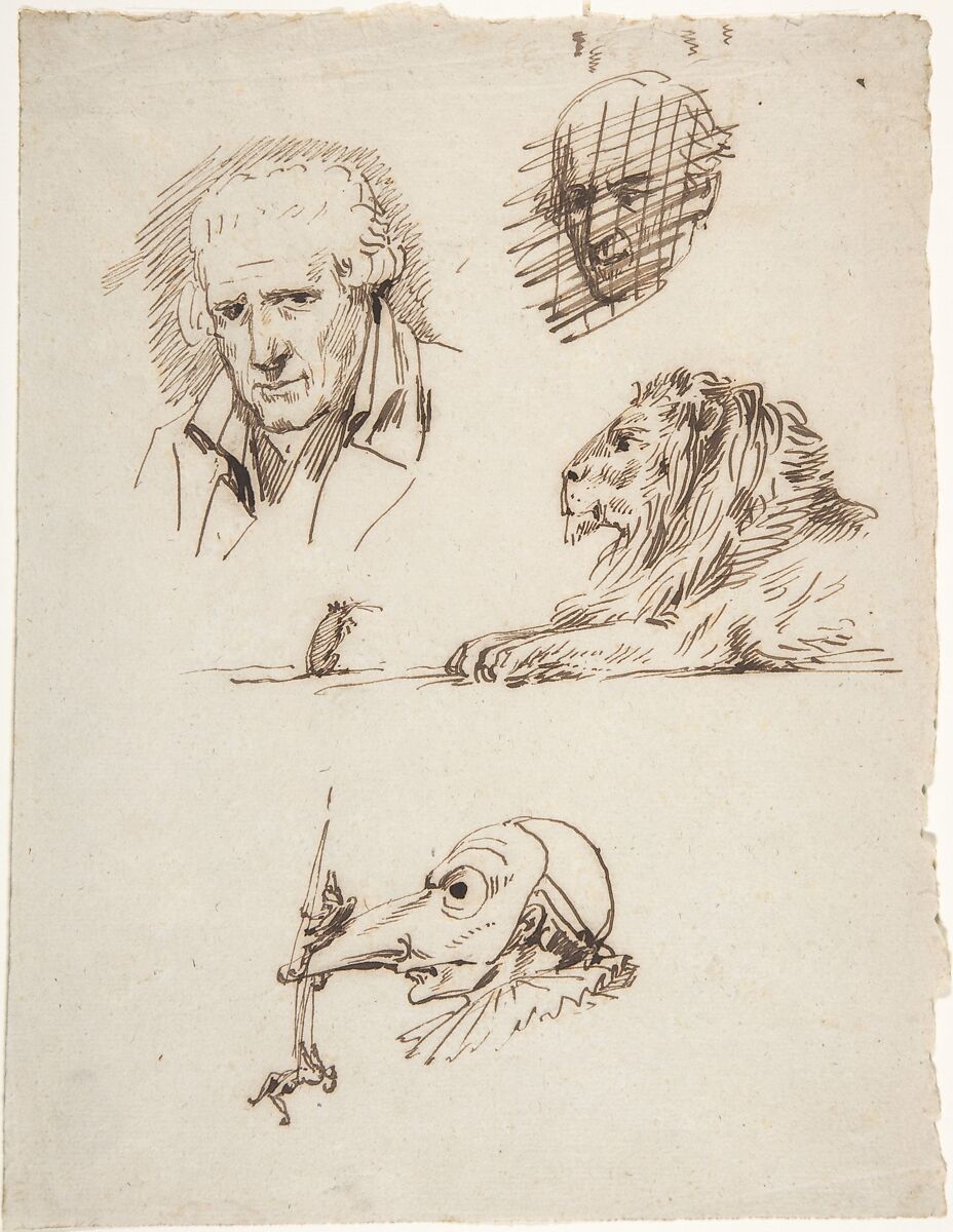 Sheet of Studies:  Three Male Heads, a Lion and a Mouse, Pierre Jean David d&#39;Angers (French, Angers 1788–1856 Paris), pen and brown ink 