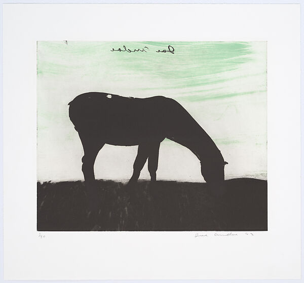 Horse, Joe Andoe (American, born Tulsa, Oklahoma, 1955), Aquatint 