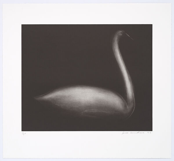 Swan, Joe Andoe (American, born Tulsa, Oklahoma, 1955), Aquatint 