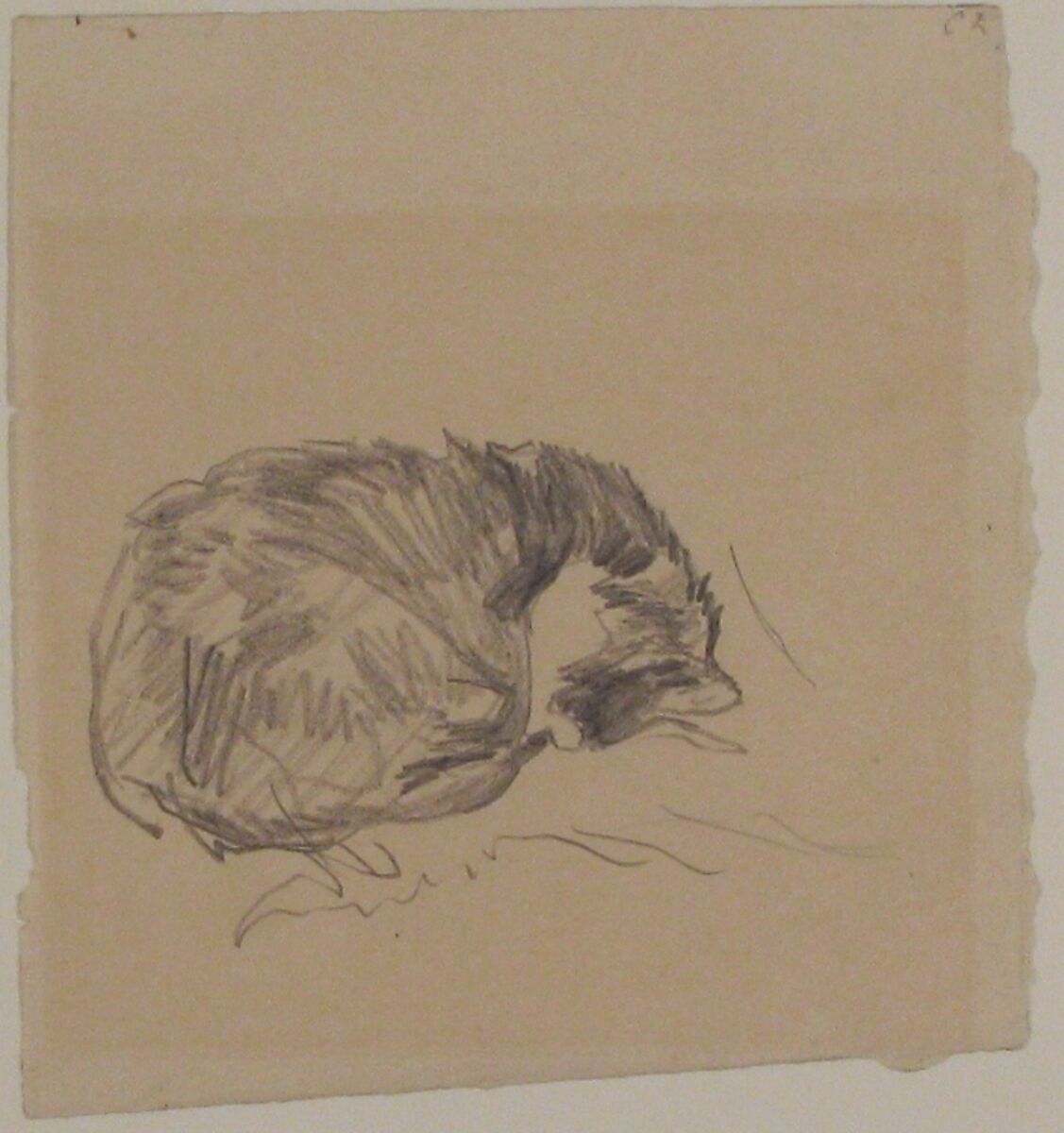 A Cat Curled Up, Sleeping, Edouard Manet (French, Paris 1832–1883 Paris), Graphite