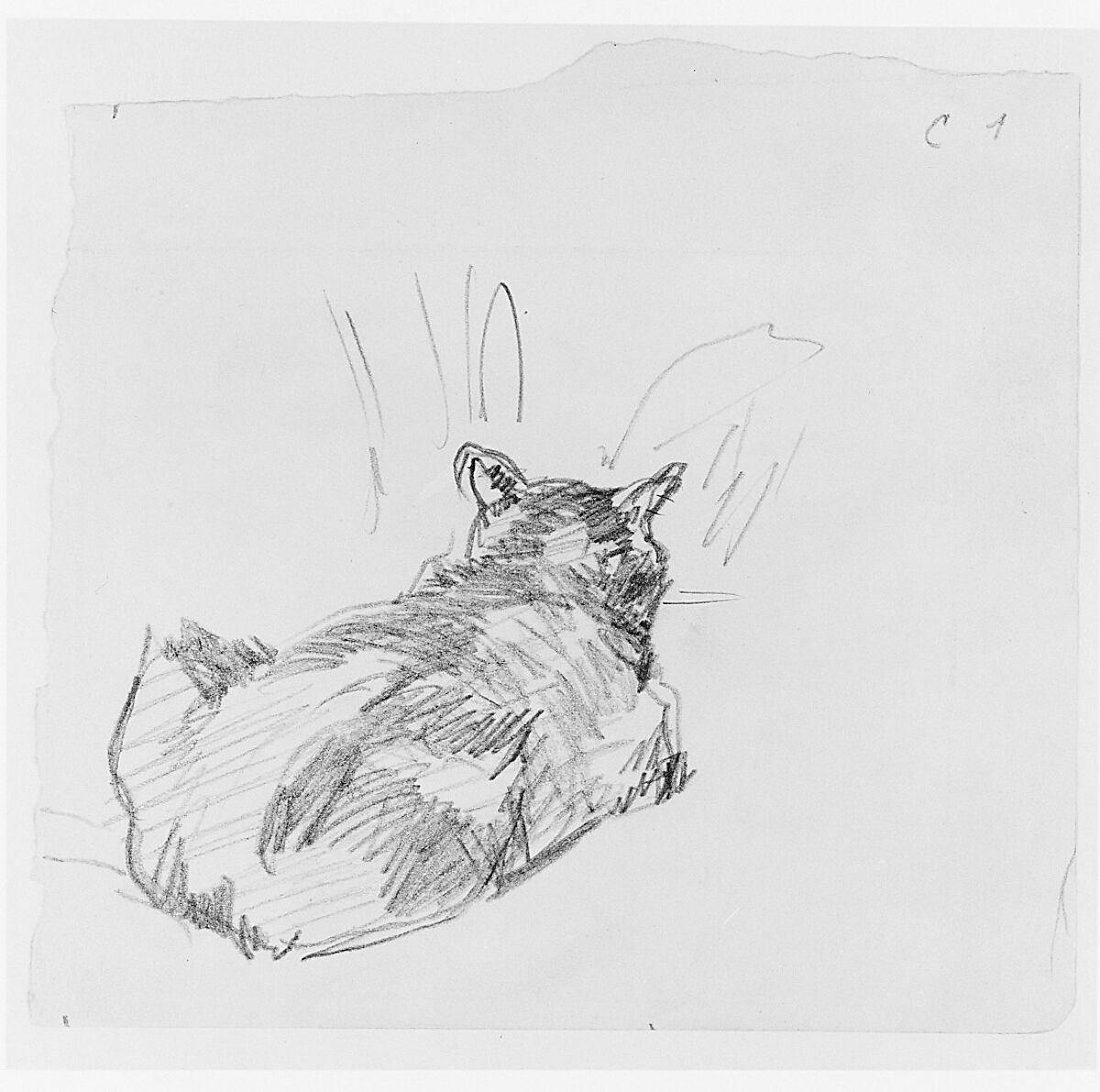 A Cat Resting on All Fours, Seen from Behind, Edouard Manet (French, Paris 1832–1883 Paris), Graphite