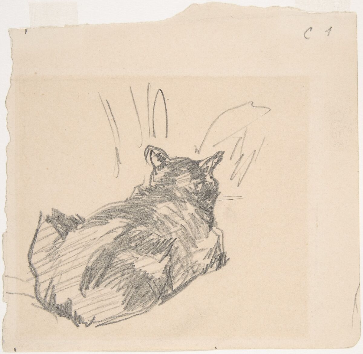 A Cat Resting on All Fours, Seen from Behind, Edouard Manet (French, Paris 1832–1883 Paris), Graphite, on ivory-colored paper 
