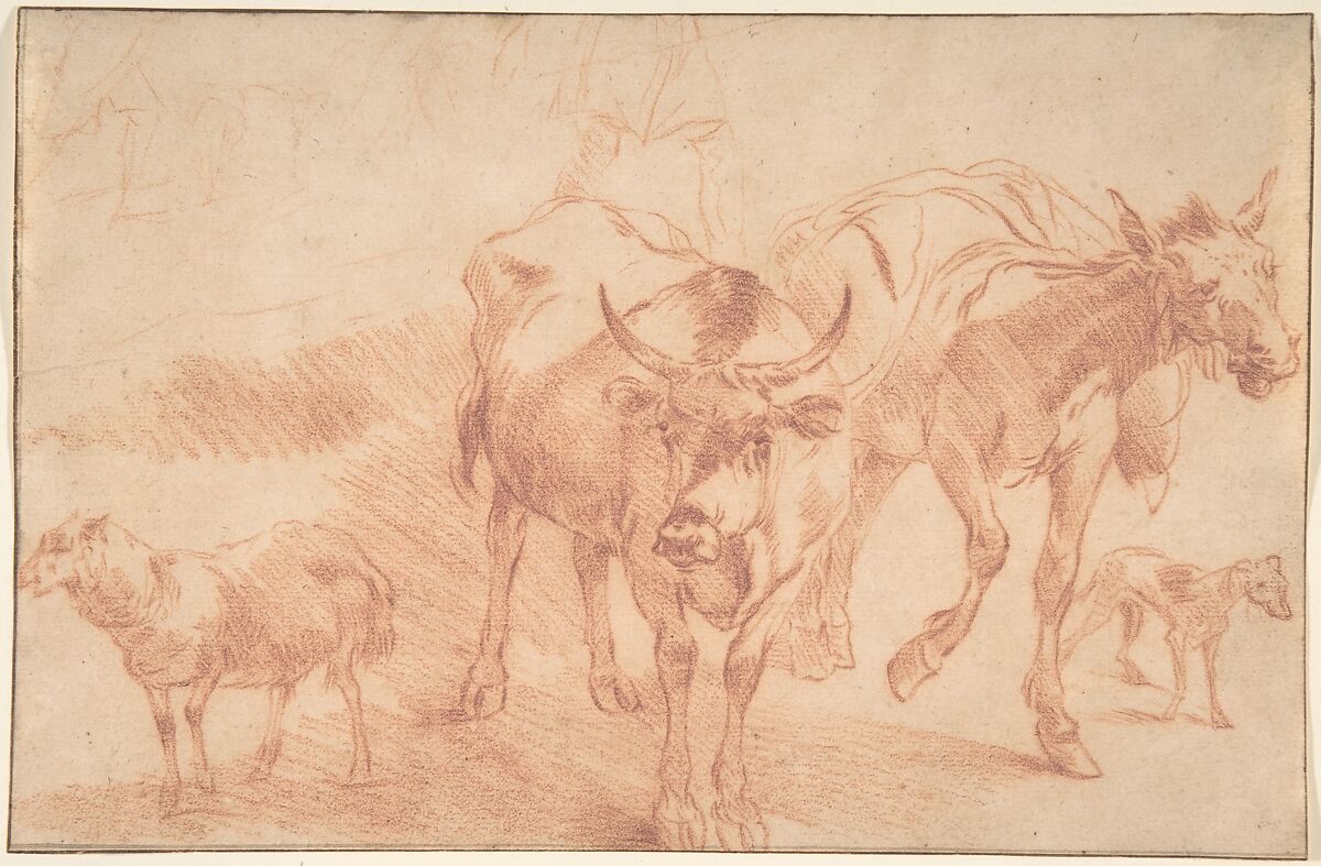 Animal Studies, Nicolaes Berchem (Dutch, Haarlem 1621/22–1683 Amsterdam), Red chalk 