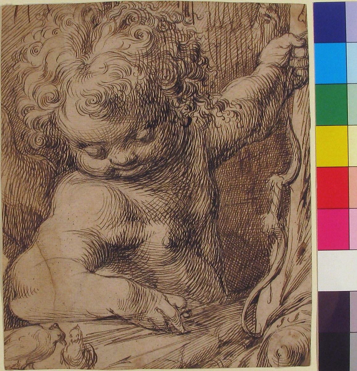 Cupid with Two Doves, Toussaint Dubreuil (French, Paris ca. 1561–1602 Paris), Pen and brown ink, over black chalk