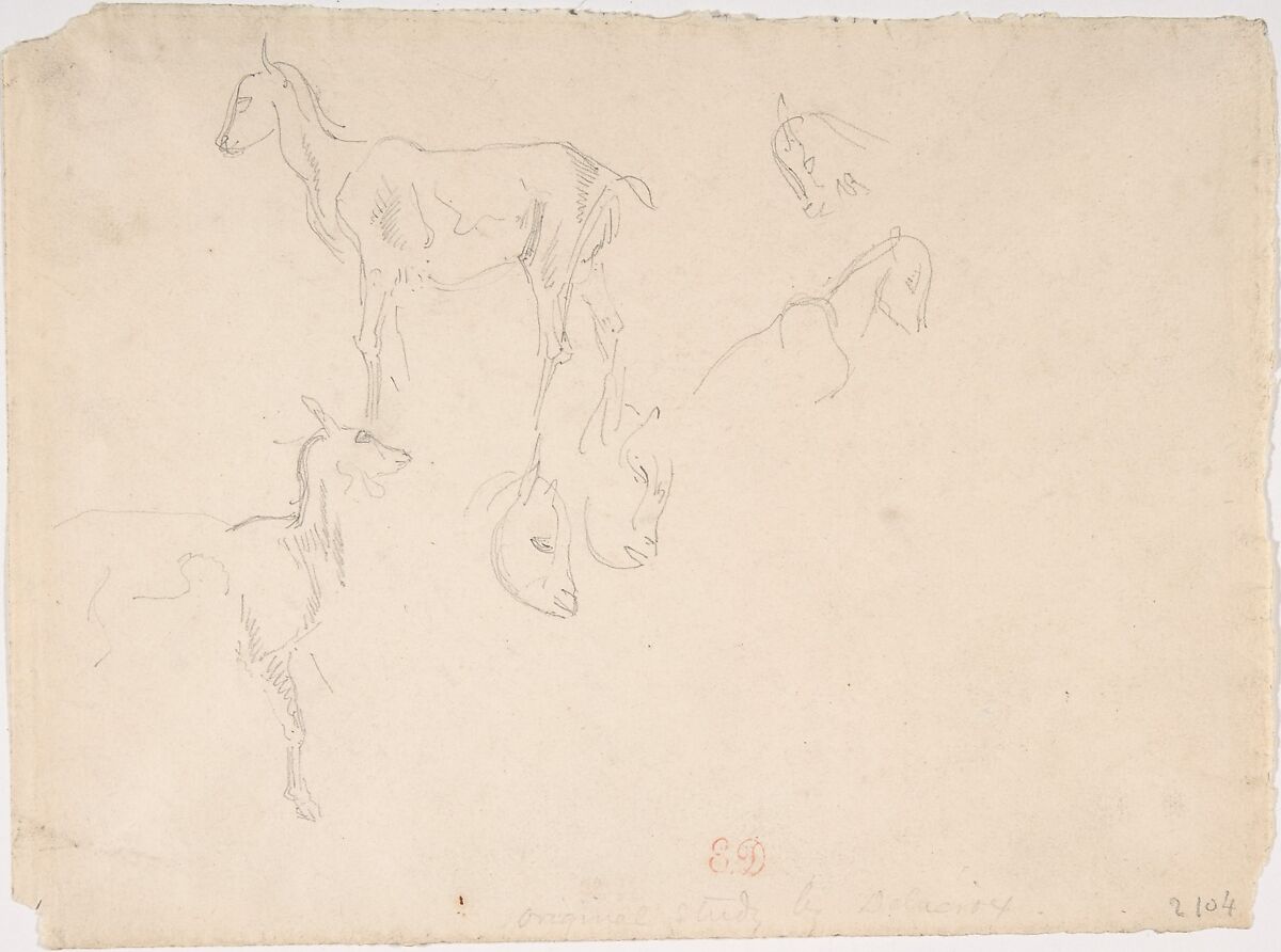 Studies of a Goat, Eugène Delacroix (French, Charenton-Saint-Maurice 1798–1863 Paris), Graphite on wove paper 