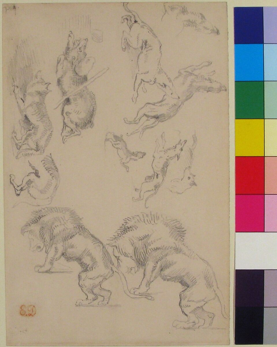 Studies of Animals, Eugène Delacroix (French, Charenton-Saint-Maurice 1798–1863 Paris), Graphite on wove paper