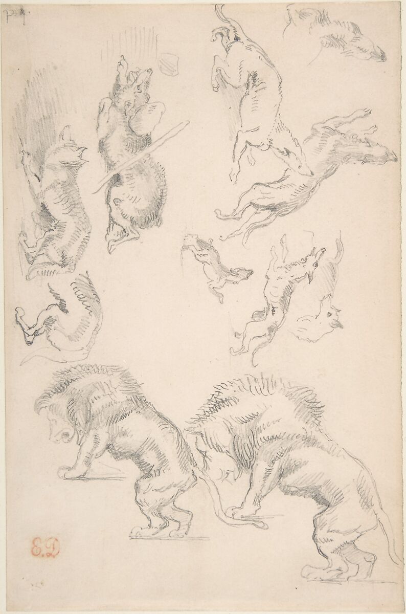 Studies of Animals, Eugène Delacroix (French, Charenton-Saint-Maurice 1798–1863 Paris), Graphite on wove paper 