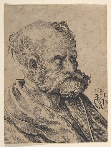 Bust of a Bearded Old Man
