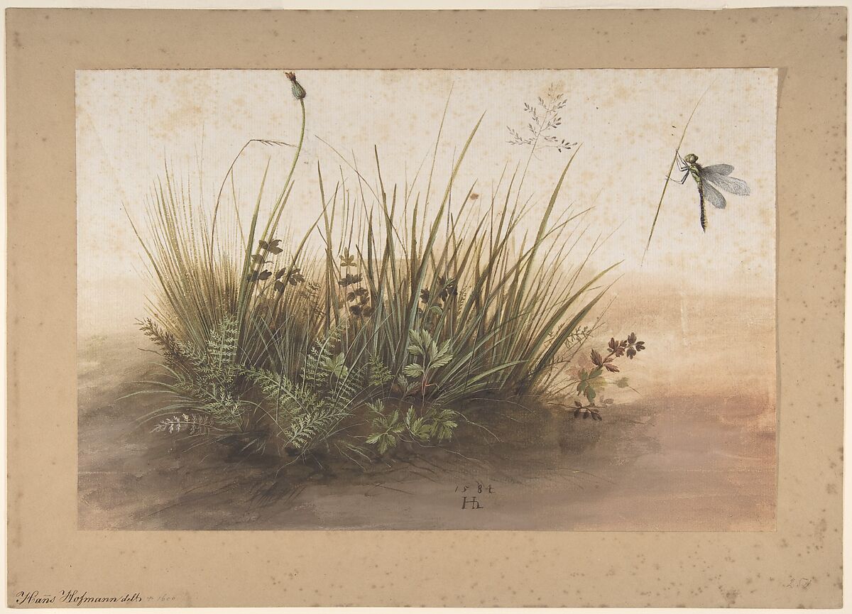 A Small Piece of Turf, Hans Hoffmann (German, Nuremberg ca. 1545/1550–1591/1592 Prague), Brush with gouache and watercolor over traces of charcoal underdrawing