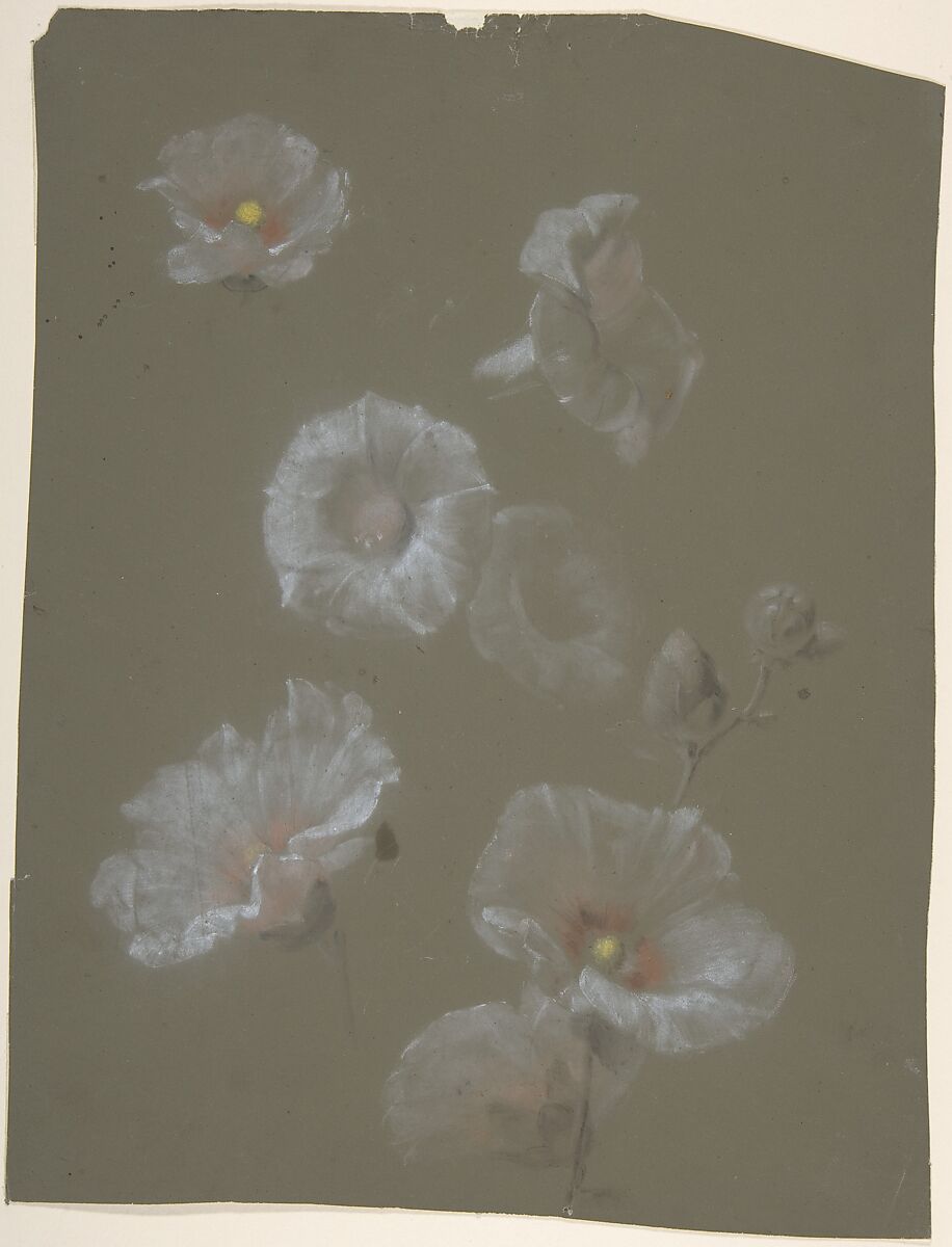 White Hollyhocks, Antoine Berjon (French, Lyon 1754–1843 Lyon), Black, white, yellow and orange chalk 