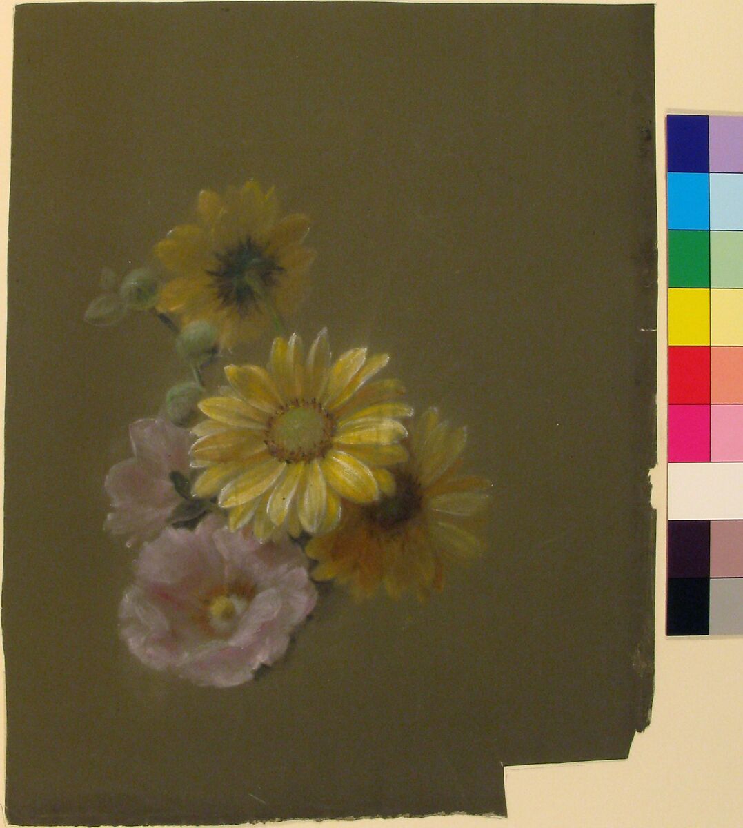 Yellow Daisies and Pink Wild Rose, Antoine Berjon (French, Lyon 1754–1843 Lyon), Green, yellow, black, brown, pink, and white chalk
