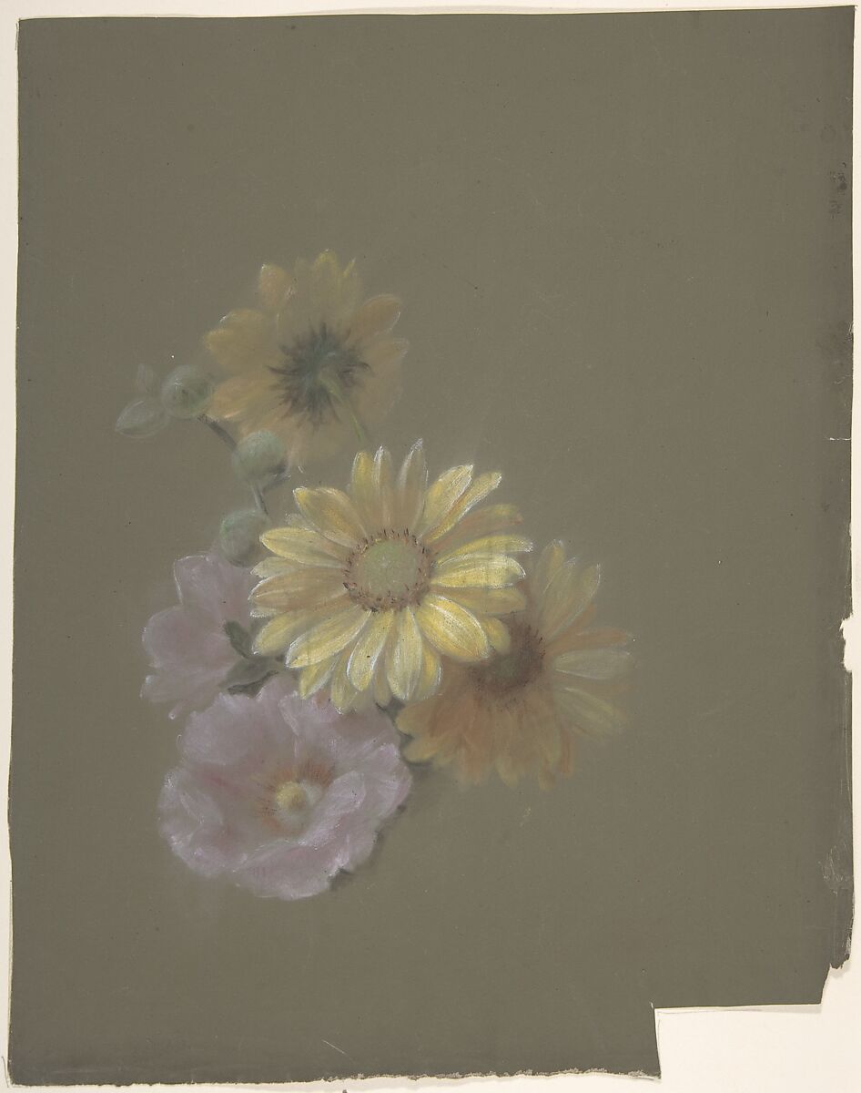 Yellow Daisies and Pink Wild Rose, Antoine Berjon (French, Lyon 1754–1843 Lyon), Green, yellow, black, brown, pink, and white chalk 