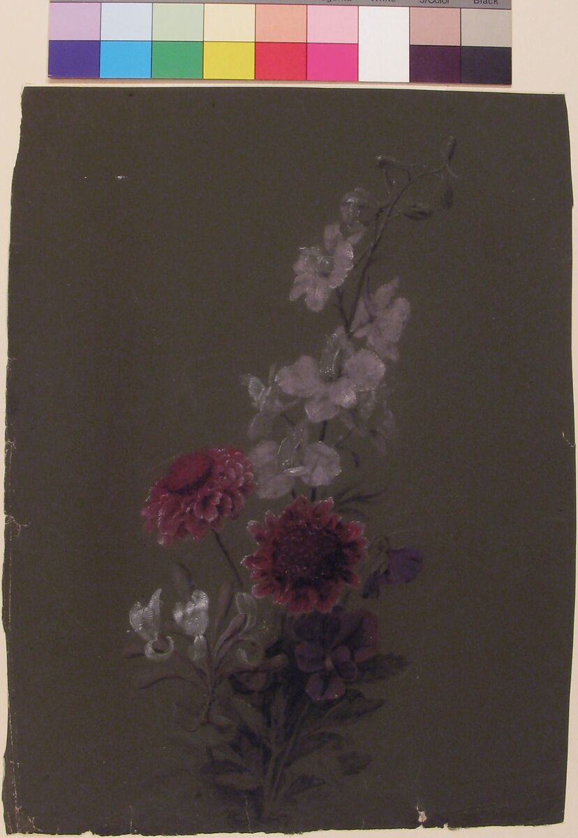 Floral Design, Antoine Berjon (French, Lyon 1754–1843 Lyon), Purple, pink, black, and white chalk