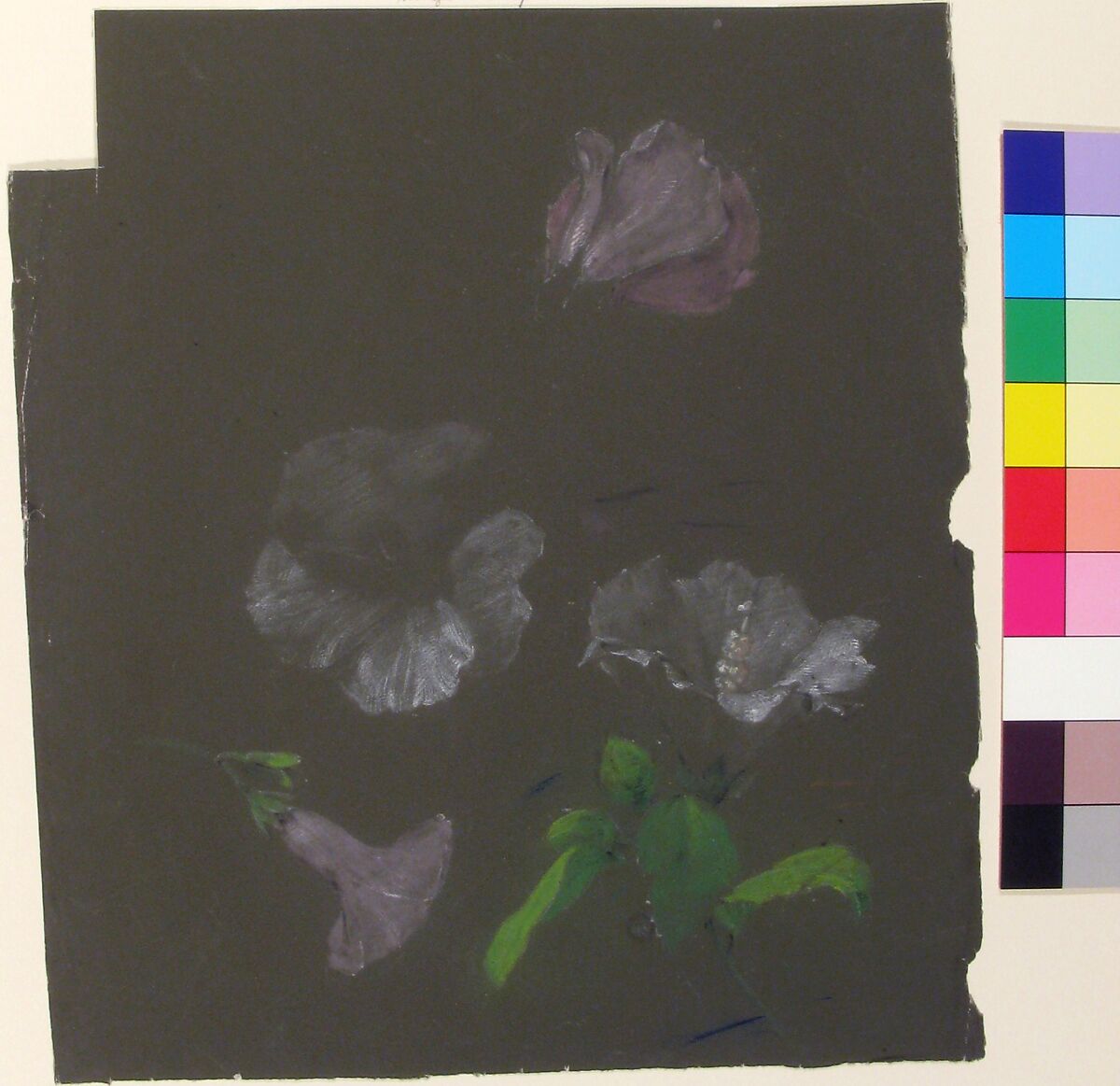 Floral Design, Antoine Berjon (French, Lyon 1754–1843 Lyon), Purple, blue, green, white, and black chalk