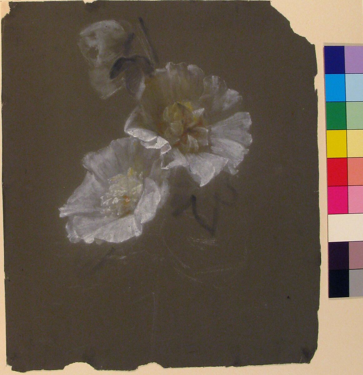 Floral Design, Antoine Berjon (French, Lyon 1754–1843 Lyon), White, orange, black, and yellow chalk