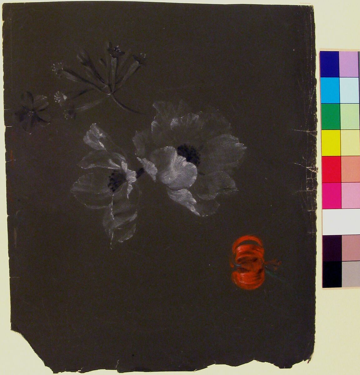 Floral Design, Antoine Berjon (French, Lyon 1754–1843 Lyon), White, orange, green and black chalk