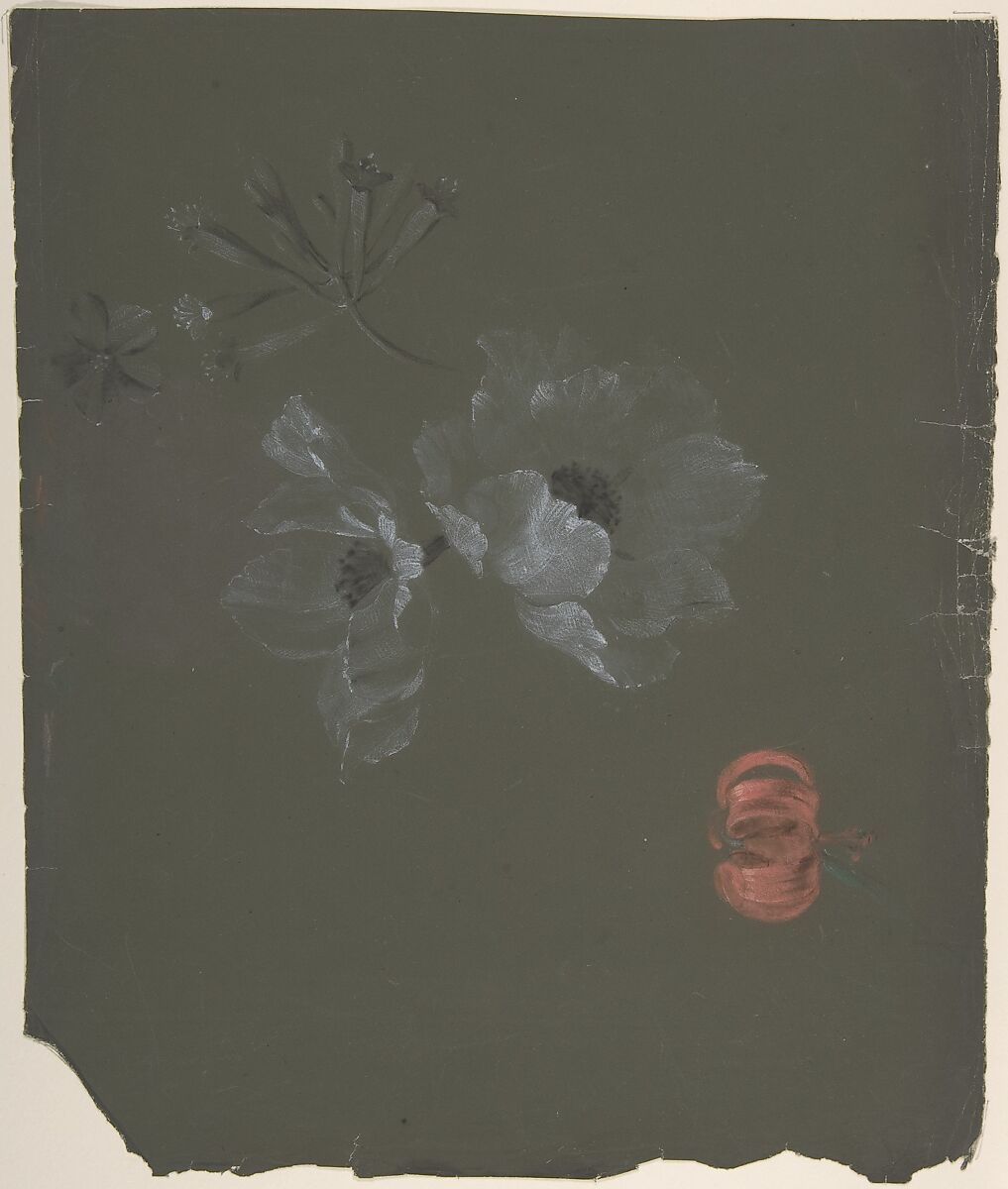 Floral Design, Antoine Berjon (French, Lyon 1754–1843 Lyon), White, orange, green and black chalk 