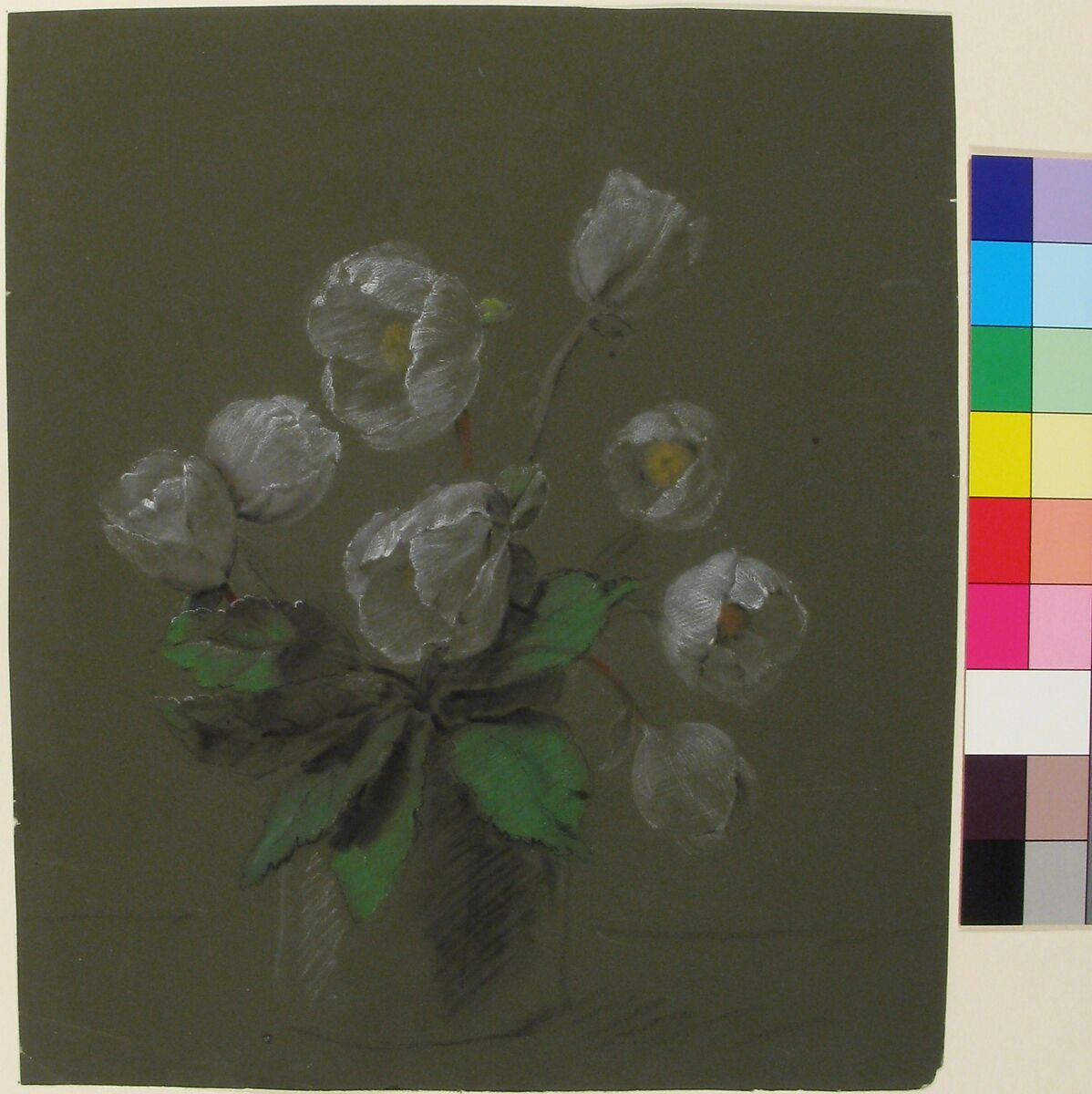 Floral Design, Antoine Berjon (French, Lyon 1754–1843 Lyon), White, black, brown, green, and yellow chalk