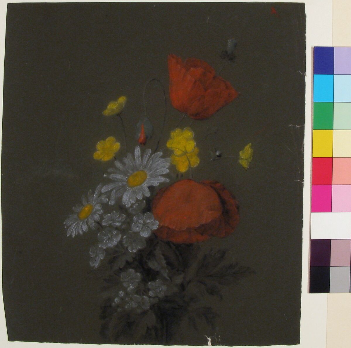 Floral Design, Antoine Berjon (French, Lyon 1754–1843 Lyon), Red, black, white, and yellow chalk