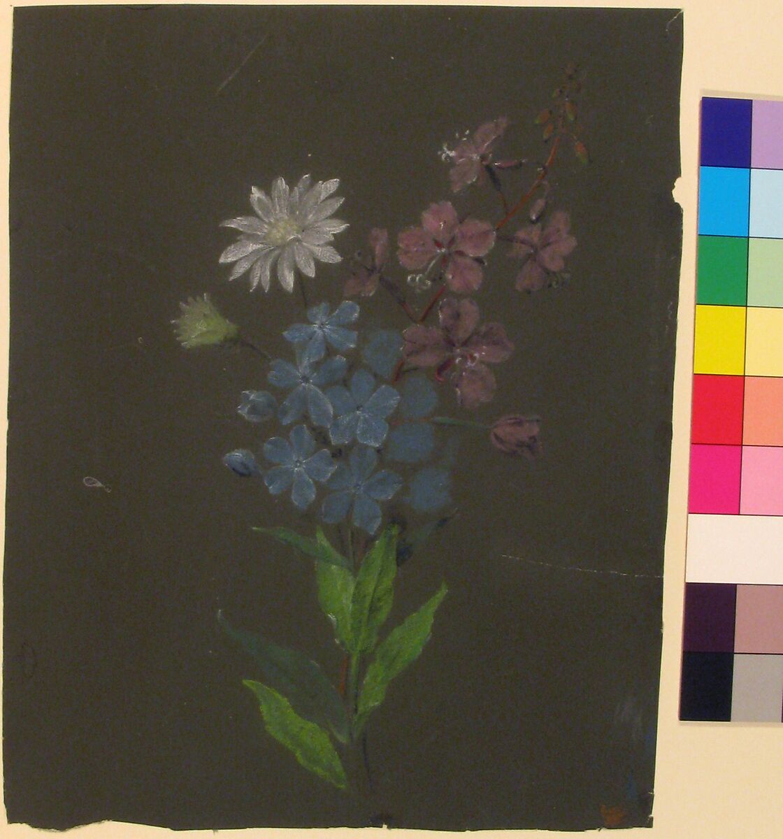 Floral Design, Antoine Berjon (French, Lyon 1754–1843 Lyon), Green, white, purple, brown, blue, and black chalk